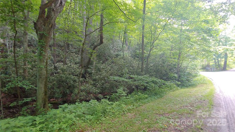 Property image 3 of 24 Village Lane in Villages Of Plott Creek, Waynesville, NC 28786