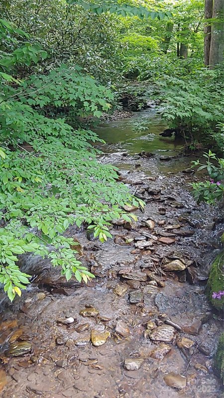 Property image 4 of 24 Village Lane in Villages Of Plott Creek, Waynesville, NC 28786