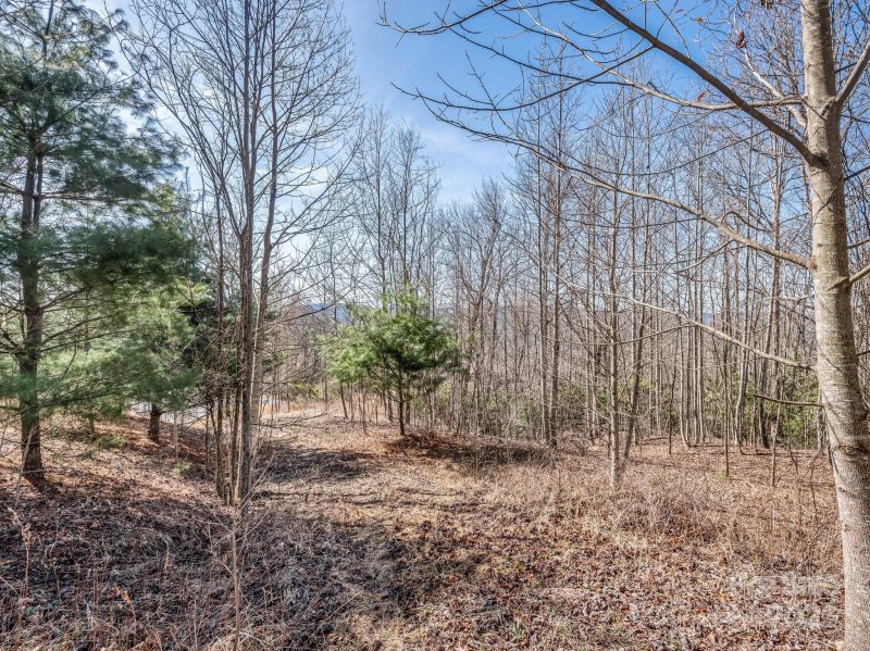 Property image 2 of 142 Mountain Elder Lane in Cummings Cove, Hendersonville, NC 28739