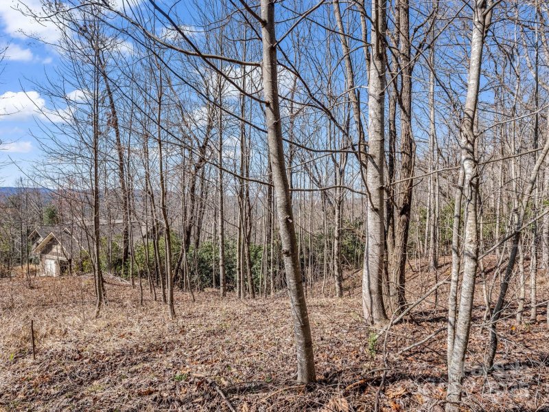 Property image 3 of 142 Mountain Elder Lane in Cummings Cove, Hendersonville, NC 28739