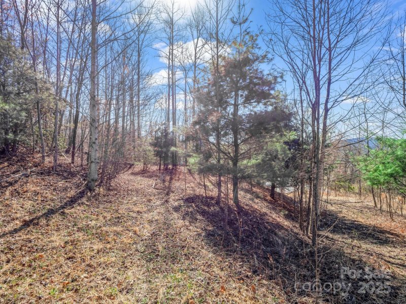 Property image 4 of 142 Mountain Elder Lane in Cummings Cove, Hendersonville, NC 28739