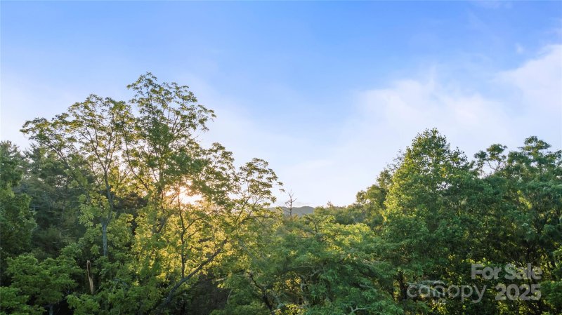 Property image 3 of 99999 Bear Creek Road in River Highlands at Madison Crs, Marshall, NC 28753