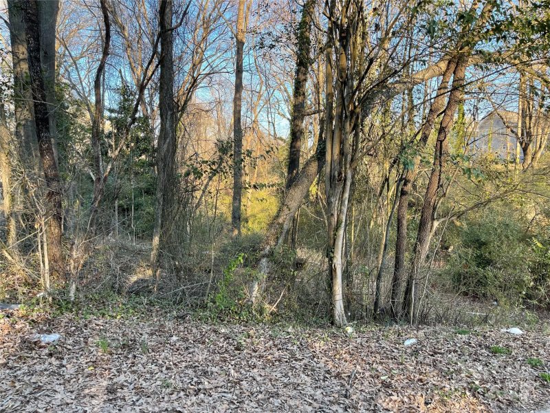 Property image 2 at 506 N Scruggs Street, Gastonia, NC 28052