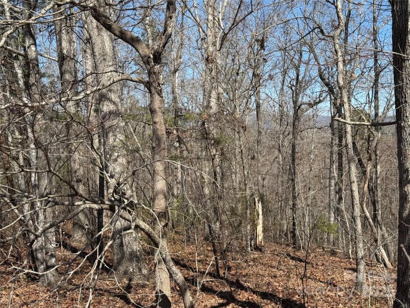 Property image 3 of 00 Shady Bark Lane in Ole Plantation, Rutherfordton, NC 28139