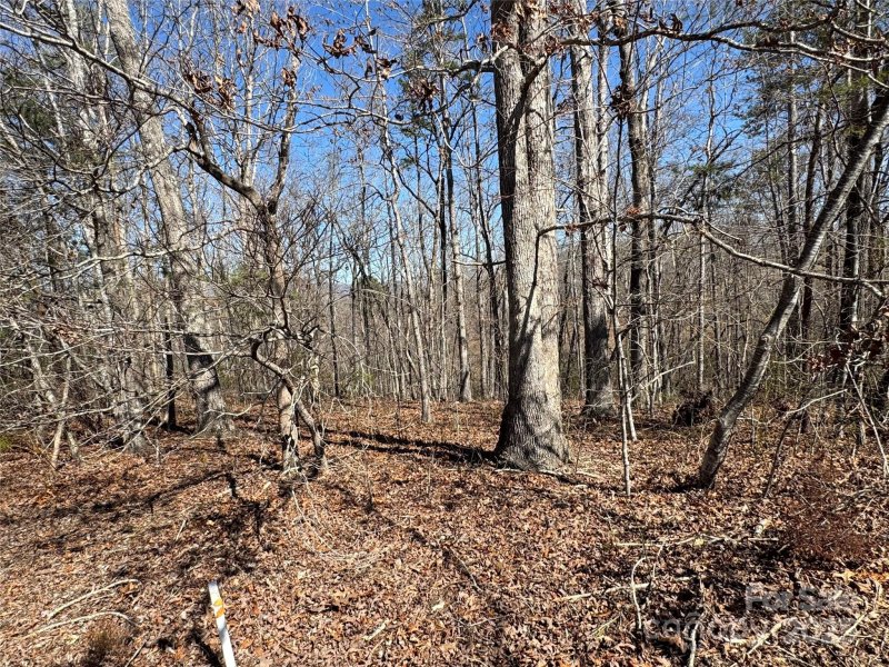 Property image 4 of 00 Shady Bark Lane in Ole Plantation, Rutherfordton, NC 28139