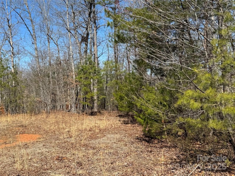 Property image 5 of 00 Shady Bark Lane in Ole Plantation, Rutherfordton, NC 28139