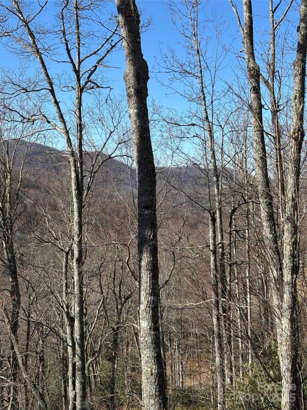 Property image 4 at 23 Screech Owl Circle, Maggie Valley, NC 28751