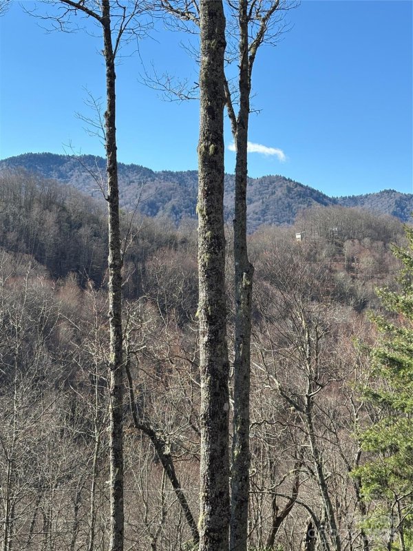 Property image 5 at 23 Screech Owl Circle, Maggie Valley, NC 28751