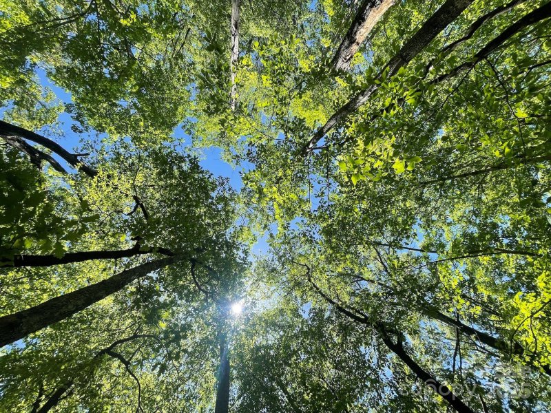 Property image 3 of 201 Ironwood Lane in Creston, Black Mountain, NC 28711