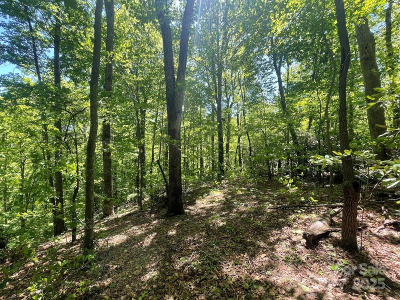 Property image 4 of 201 Ironwood Lane in Creston, Black Mountain, NC 28711