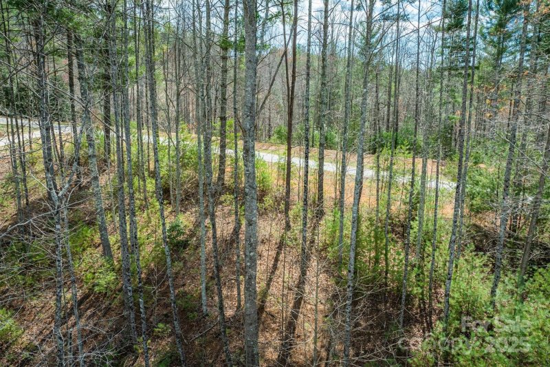 Property image 4 at 219 Cedar Cove Way, Lenoir, NC 28645