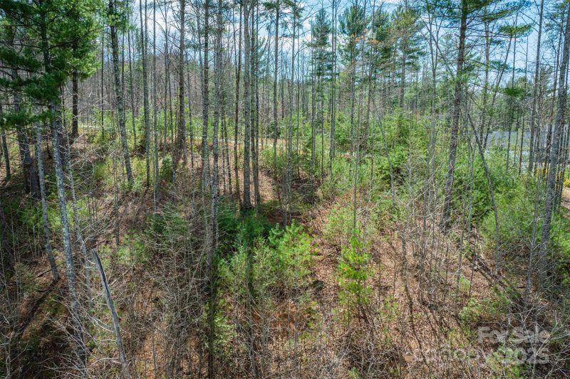 Property image 5 at 219 Cedar Cove Way, Lenoir, NC 28645