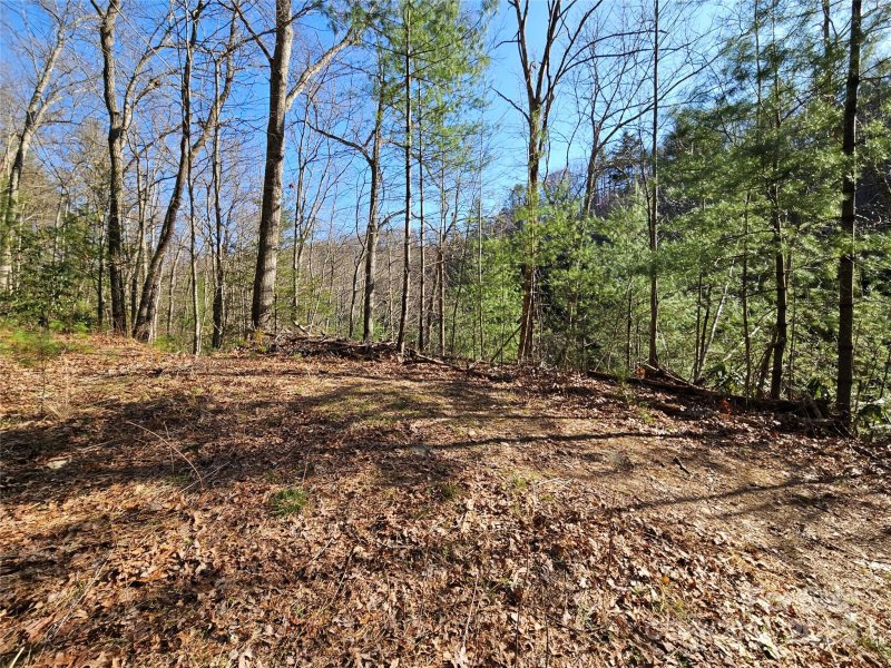 Property image 2 at 0 Laurel Branch Road, Waynesville, NC 28785