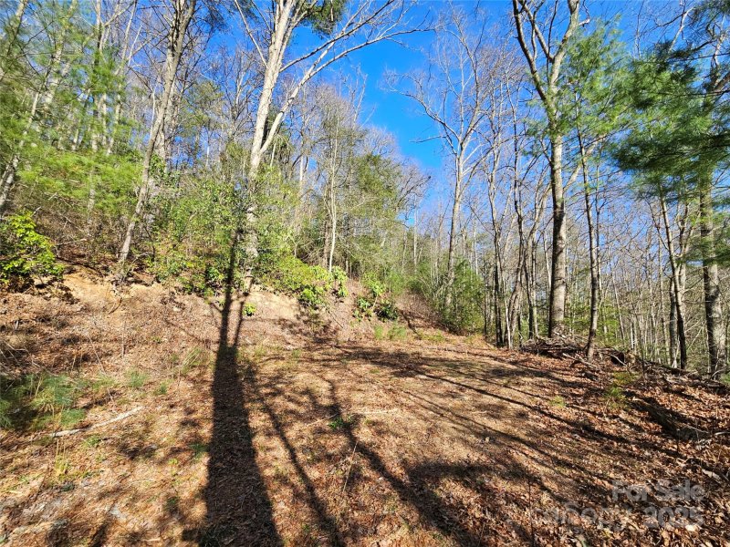 Property image 4 at 0 Laurel Branch Road, Waynesville, NC 28785