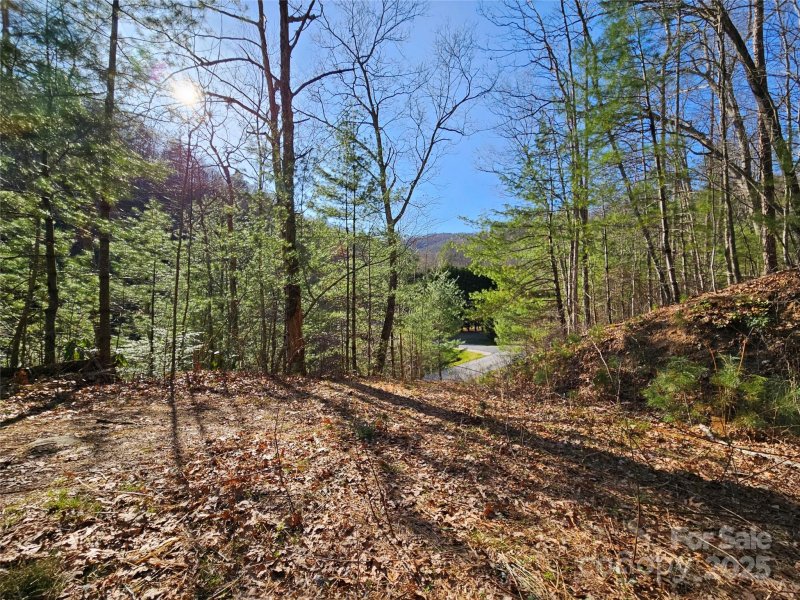Property image 5 at 0 Laurel Branch Road, Waynesville, NC 28785
