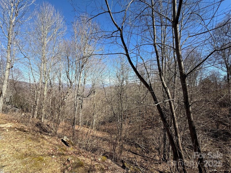 000 Running Cedar Lane