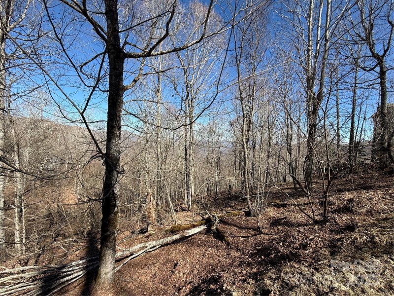 Property image 3 of 000 Running Cedar Lane in Wolf Laurel, Mars Hill, NC 28754