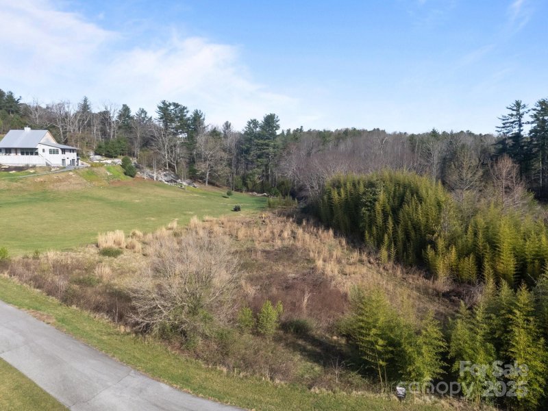 Property image 5 of 193 Montevilla Drive in AVIREA, Hendersonville, NC 28739