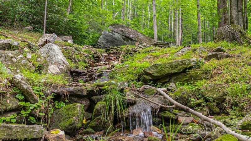 Property image 4 of 2752 Gerton Highway in HARDISON ESTATE, Gerton, NC 28735