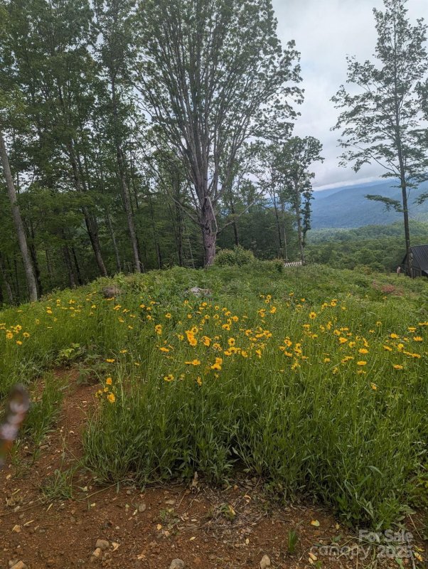 Property image 5 at 261 Nicholas Knoll Road, Bakersville, NC 28705