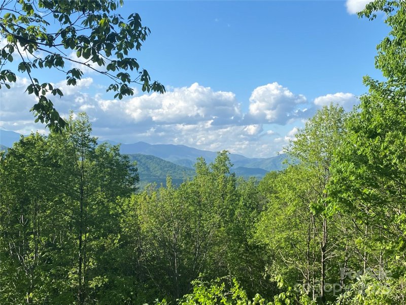 Property image 2 of 1099 Mitchell View Drive in Gateway Mountain, Old Fort, NC 28762