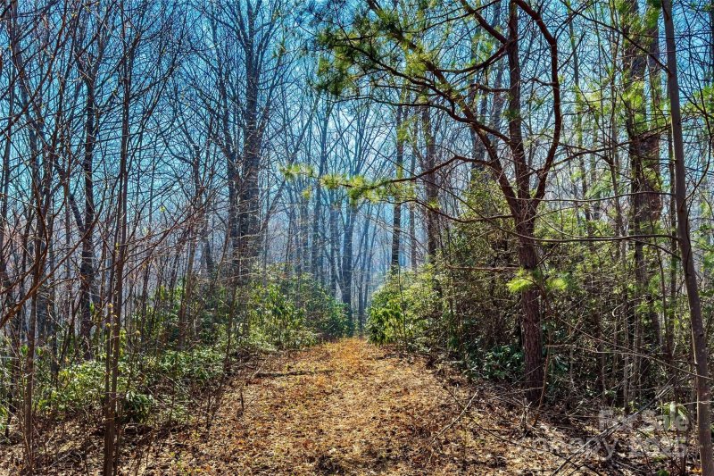 Property image 3 of 1099 Mitchell View Drive in Gateway Mountain, Old Fort, NC 28762