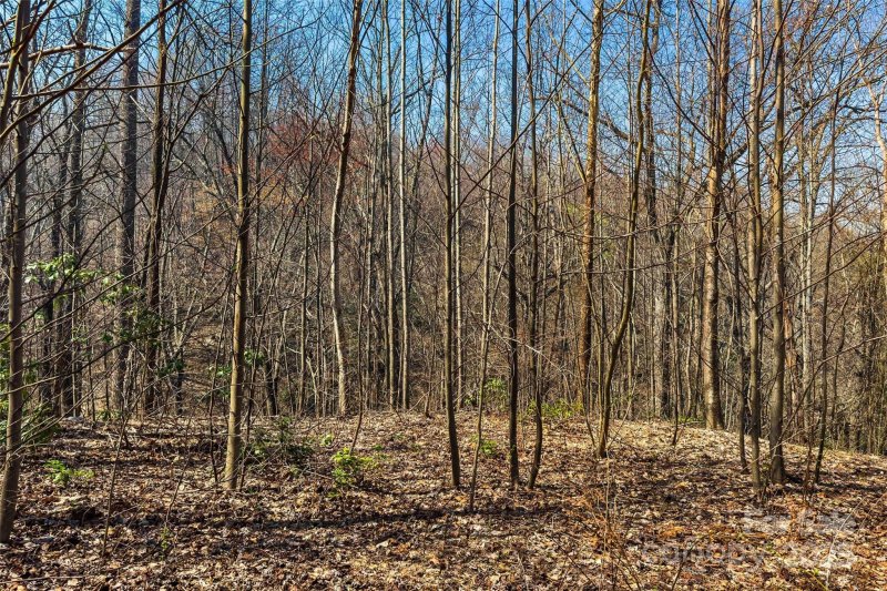 Property image 5 of 1099 Mitchell View Drive in Gateway Mountain, Old Fort, NC 28762