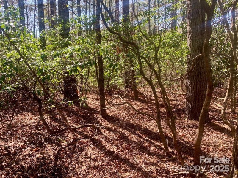 Property image 2 at 22 Double Creek Road, Brevard, NC 28712