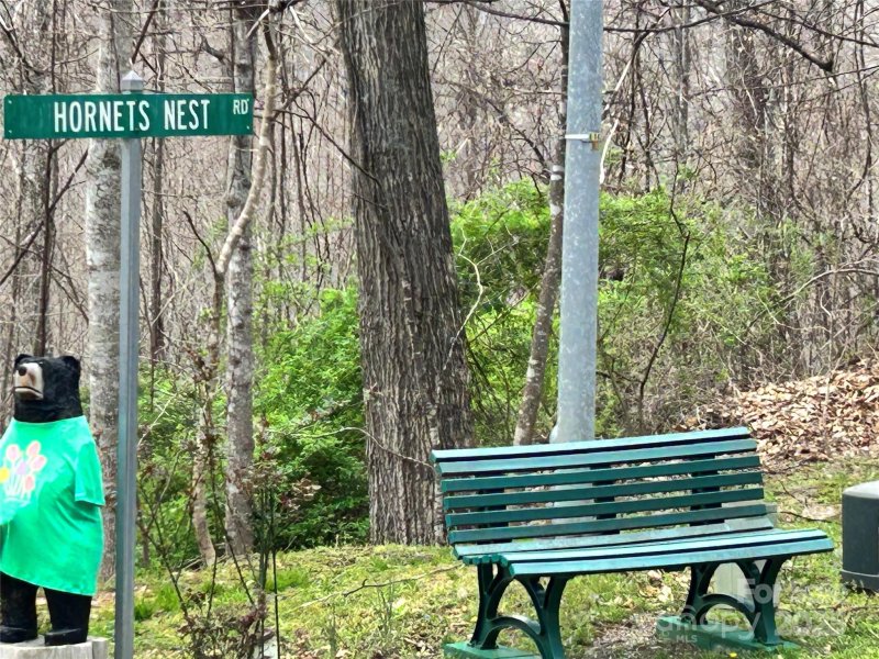 Property image 4 of 0 Hornets Nest Road in Campbell Woods, Maggie Valley, NC 28751