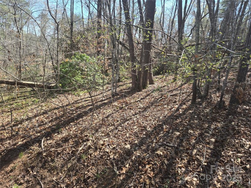 Lot 15 Jonathan Lane