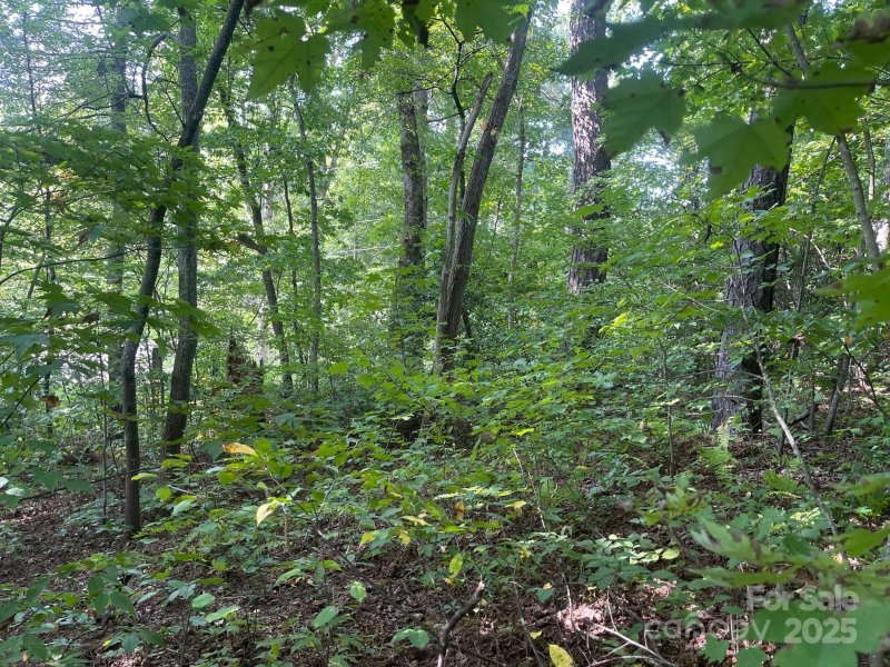 Property image 5 of Tbd Rattlesnake Mountain Road in Ridgecrest, Black Mountain, NC 28711
