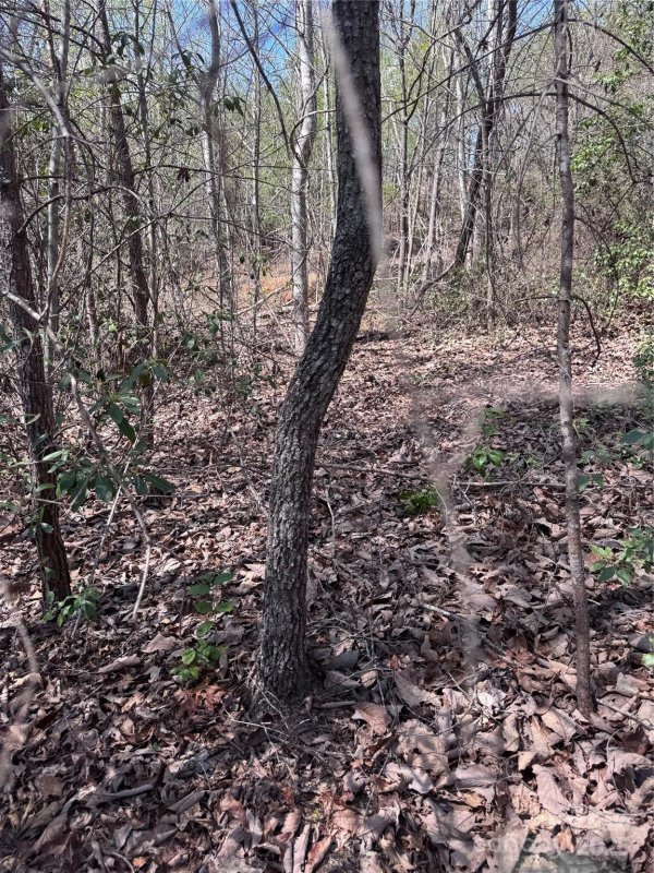 Property image 2 of 0 Brookside Parkway in Brookside Forest, Lake Lure, NC 28746