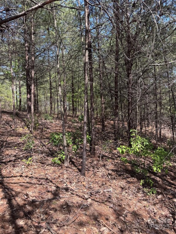 Property image 3 of 0 Brookside Parkway in Brookside Forest, Lake Lure, NC 28746