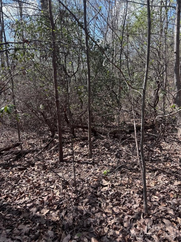 Property image 4 of 0 Brookside Parkway in Brookside Forest, Lake Lure, NC 28746