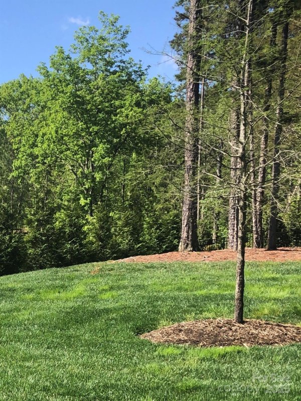 Property image 5 of 6157 Volte Drive in Cheval, Mint Hill, NC 28227