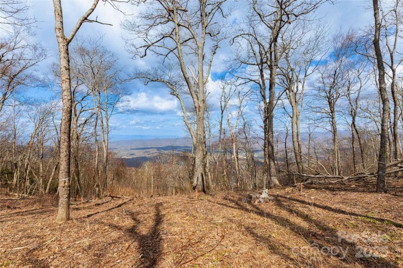 703 Fairview Forest Drive