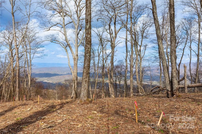 Property image 2 at 703 Fairview Forest Drive, Fairview, NC 28730