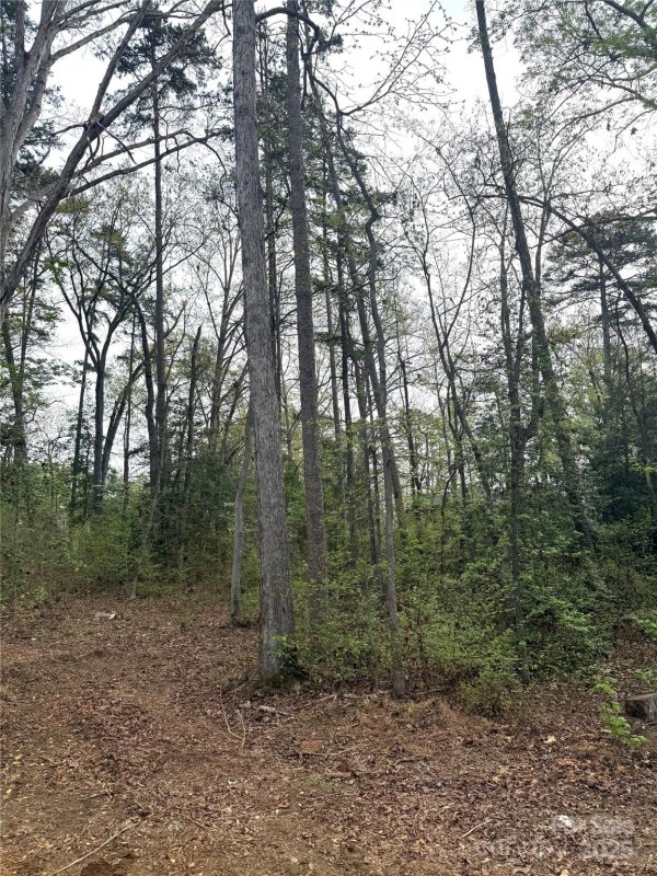 Property image 5 of 102 Archer Glen in Uwharrie Point, New London, NC 28127