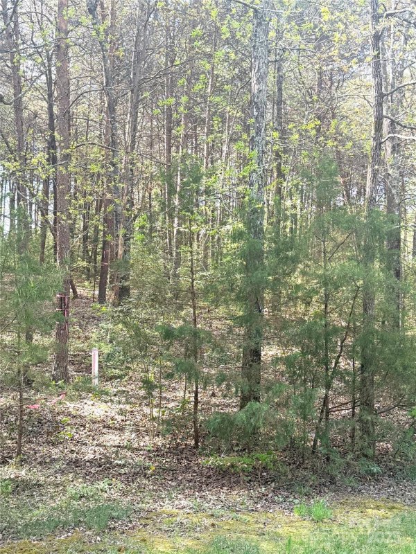 Property image 3 of 168 Porters Glen in Uwharrie Point, New London, NC 28127