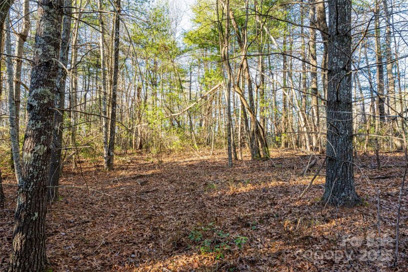 Property image 4 of 167 Shoal Creek Road in Green River Ridges, Zirconia, NC 28790