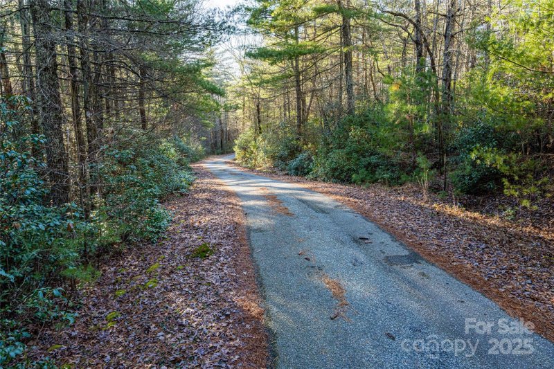 Property image 5 of 167 Shoal Creek Road in Green River Ridges, Zirconia, NC 28790