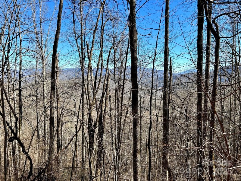 Property image 2 of 0 Maltese Way in Barkers Creek Preserve, Whittier, NC 28789