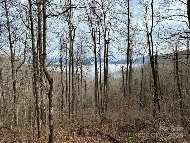 Property image 3 of 0 Maltese Way in Barkers Creek Preserve, Whittier, NC 28789