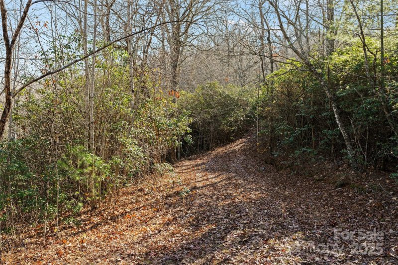 Property image 3 of 69 81 Winter Moon Ridge in Hemlock Falls, Sylva, NC 28779
