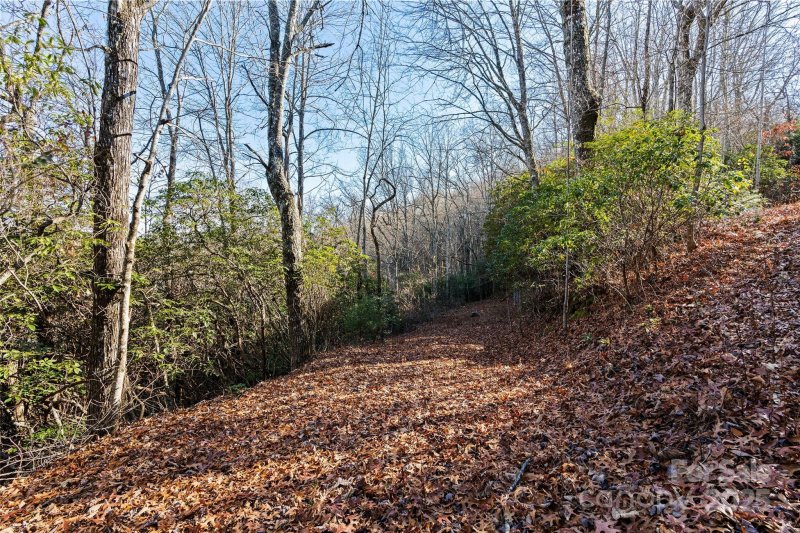 Property image 4 of 69 81 Winter Moon Ridge in Hemlock Falls, Sylva, NC 28779