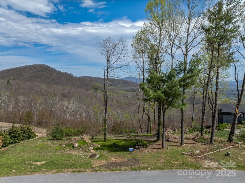 Property image 4 of 0 Dancing Bear Drive in Grand Highlands at Bearwallow, Hendersonville, NC 28792