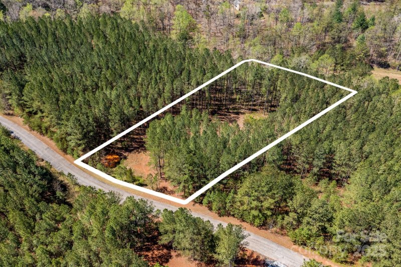 Property image 3 of 19 Sunset Drive in Hillcrest, Mill Spring, NC 28756