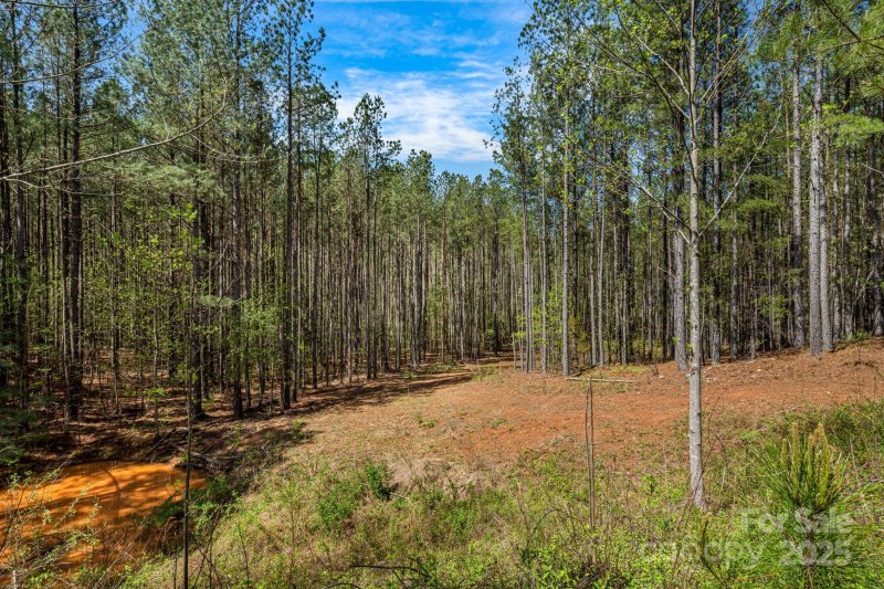 Property image 4 of 19 Sunset Drive in Hillcrest, Mill Spring, NC 28756