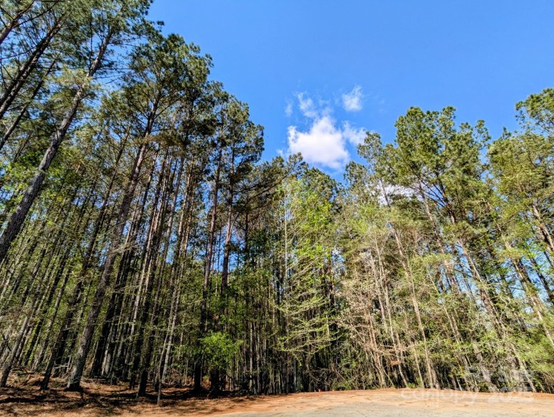 Property image 5 of 1039 Paso Fino Lane in Paradise Harbor, Connelly Springs, NC 28612