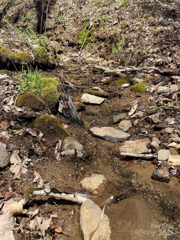 Property image 5 of 99999 Chestnut Forest Road in Fairview Forest, Fairview, NC 28730